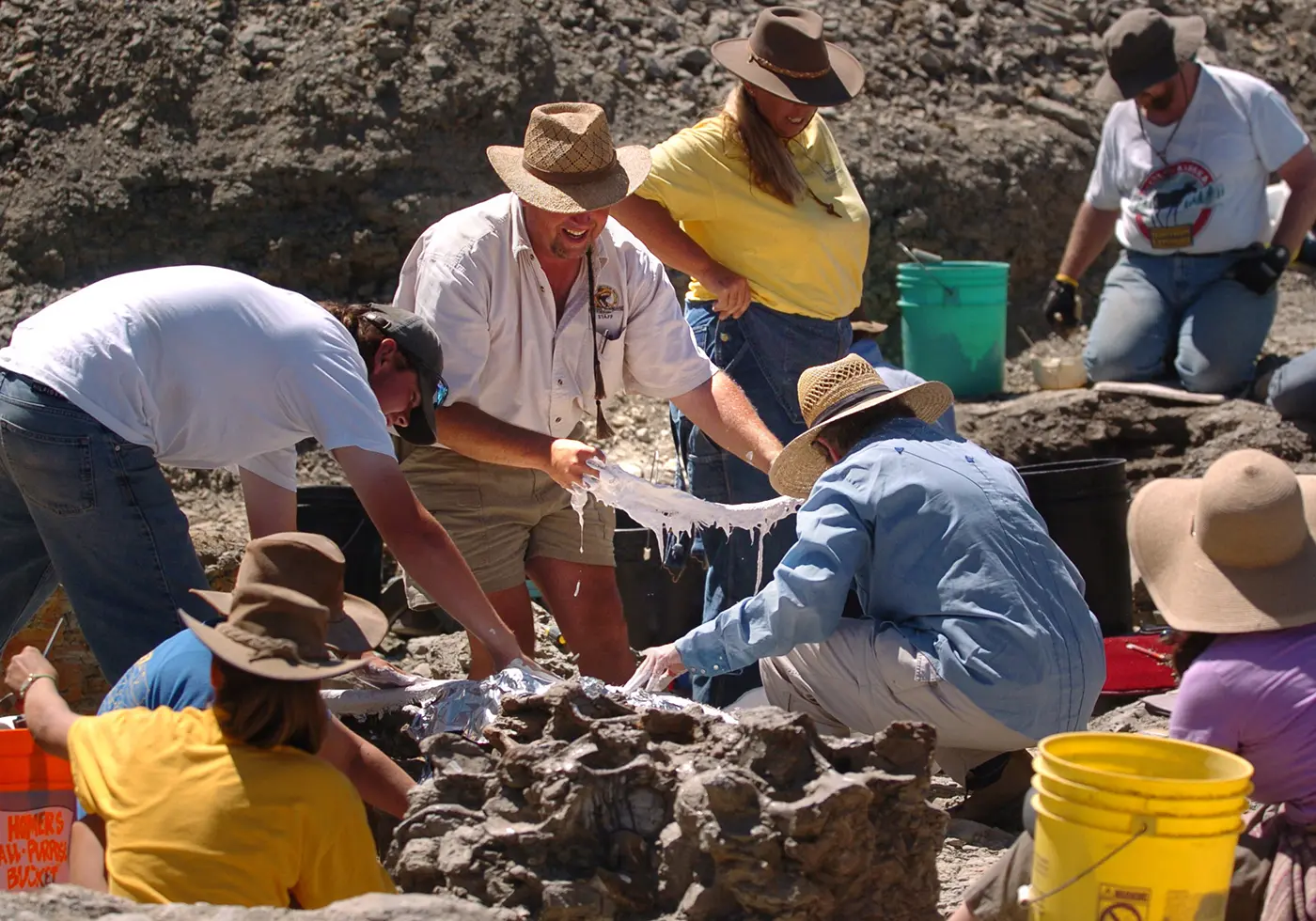 2026 Little Snowy Mountains Dinosaur Project 2026 Little Snowy Mountains Dinosaur Project